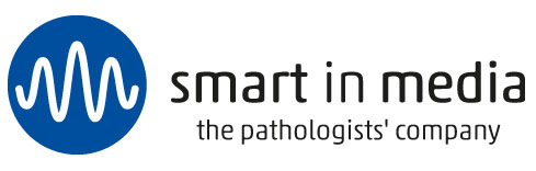 Smart in Media logo